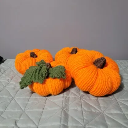 Pumpkin(x1) - Image 5
