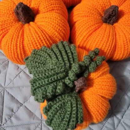Pumpkin(x1) - Image 4